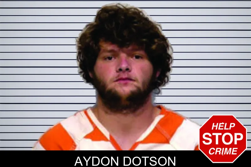 Aydon Dotson mugshot