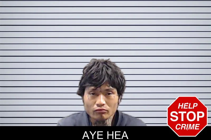 Aye Hea mugshot – DeKalb County , Georgia Aye Hea mugshot