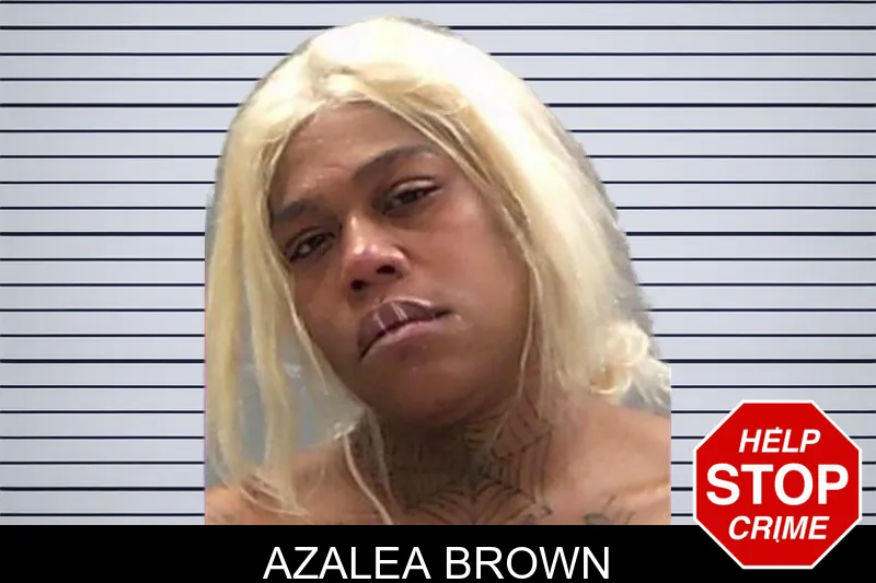 Azalea Brown mugshot