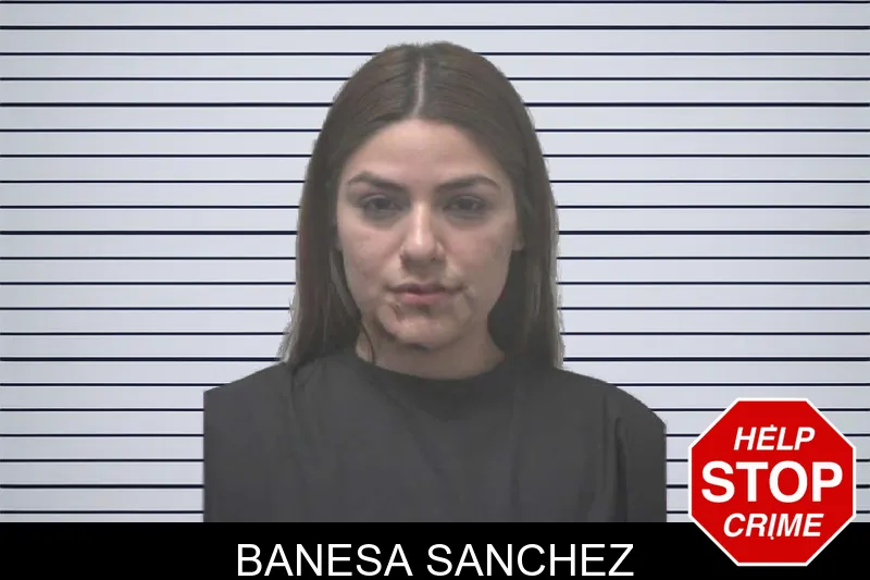 Banesa Sanchez mugshot