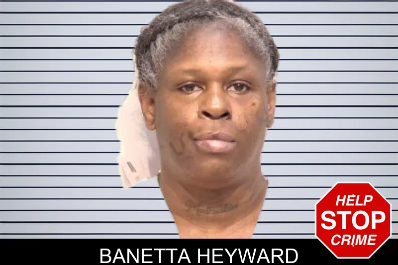 Banetta Heyward mugshot – Bartow County , Georgia Banetta Heyward mugshot