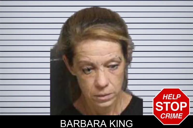 Barbara King mugshot – Bacon County , Georgia Barbara King mugshot