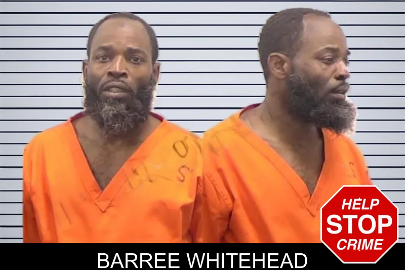 Barree Whitehead mugshot