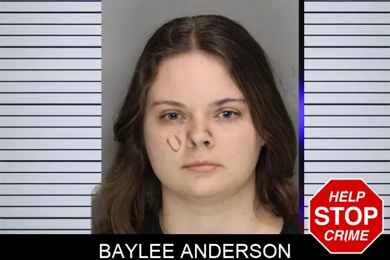 Baylee Anderson mugshot – Cobb County , Georgia Baylee Anderson