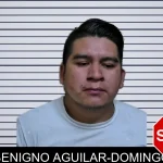 Benigno Aguilar-Domingo mugshot – Montgomery County , Georgia Benigno Aguilar-Domingo mugshot