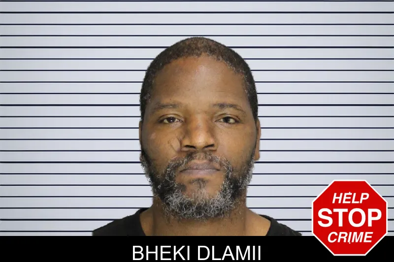 Bheki Dlamii mugshot – Cobb County , Georgia Bheki Dlamii mugshot