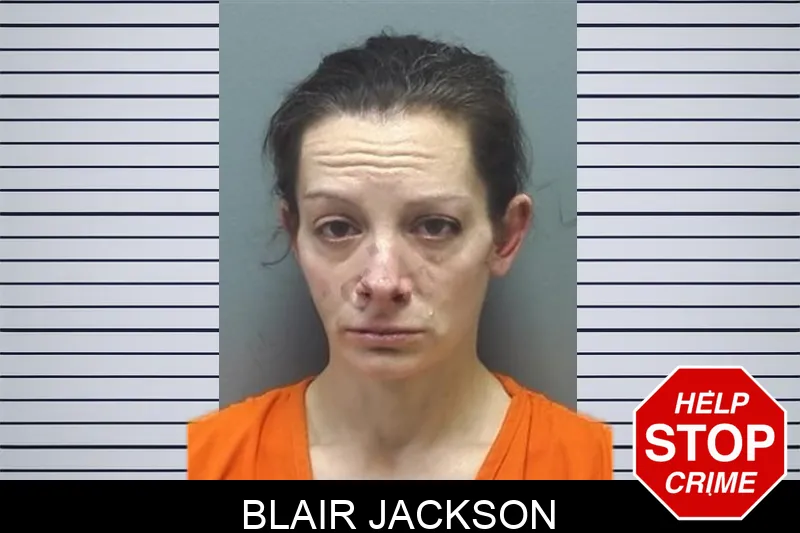 Blair Jackson mugshot – Cherokee County , Georgia Blair Jackson mugshot
