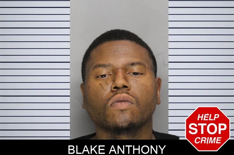 Blake Anthony mugshot
