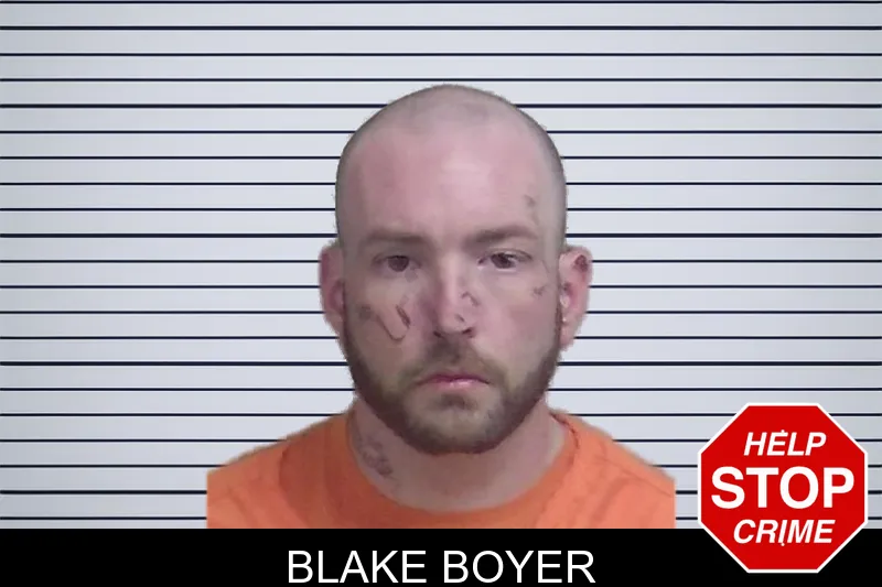 Blake Boyer mugshot – Wayne County , Georgia Blake Boyer mugshot