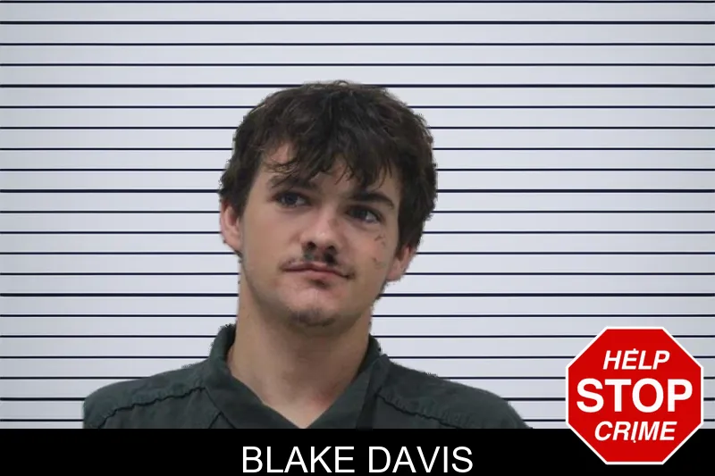 Blake Davis mugshot