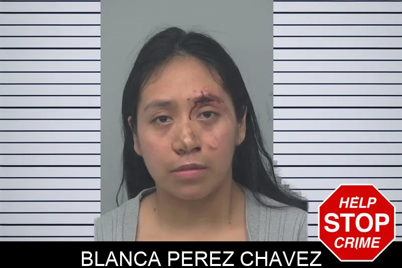 Blanca Perez Chavez mugshot
