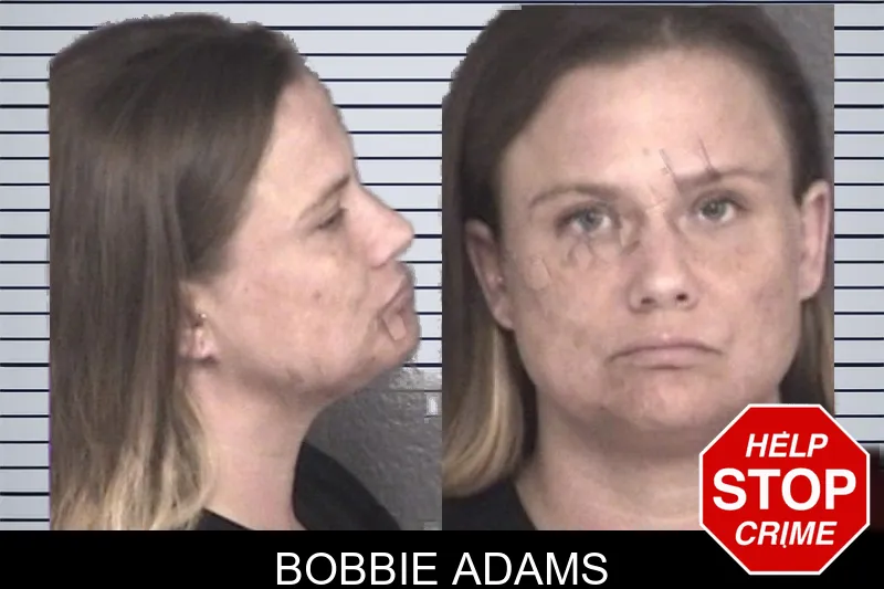 Bobbie Adams mugshot