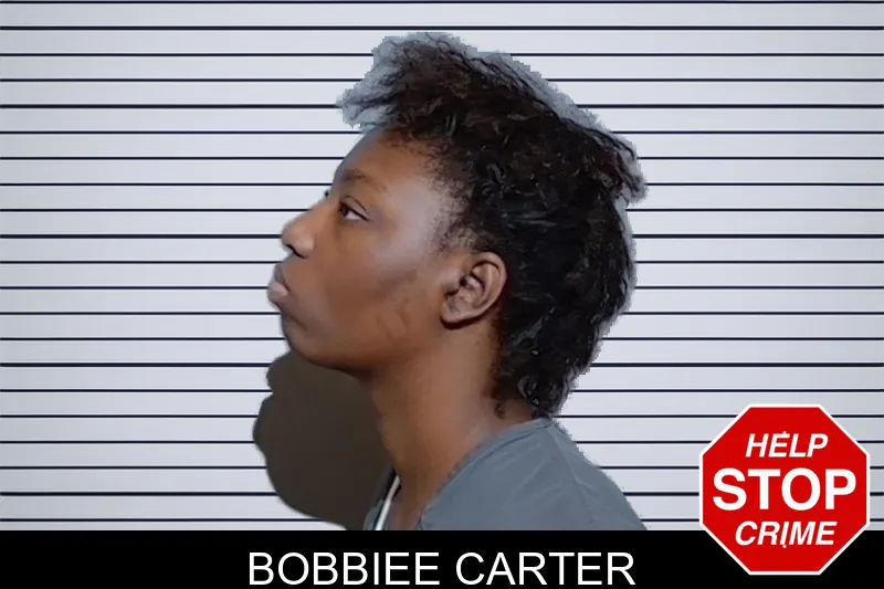 Bobbiee Carter mugshot