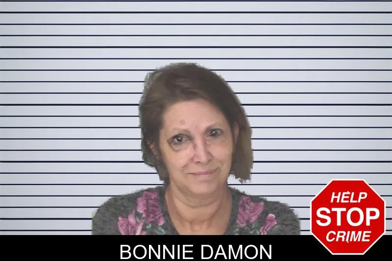 Bonnie Damon mugshot – Douglas County , Georgia Bonnie Damon mugshot