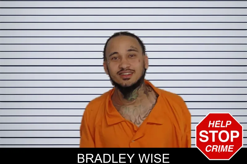 Bradley Wise mugshot