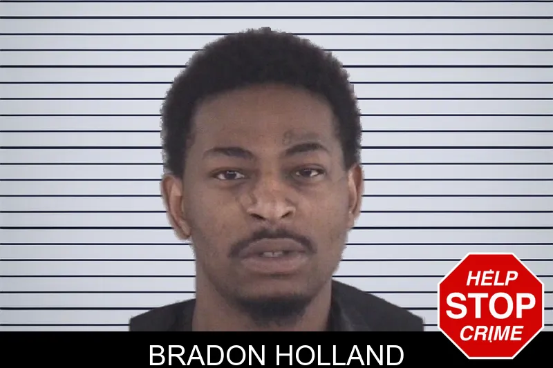 Bradon Holland mugshot