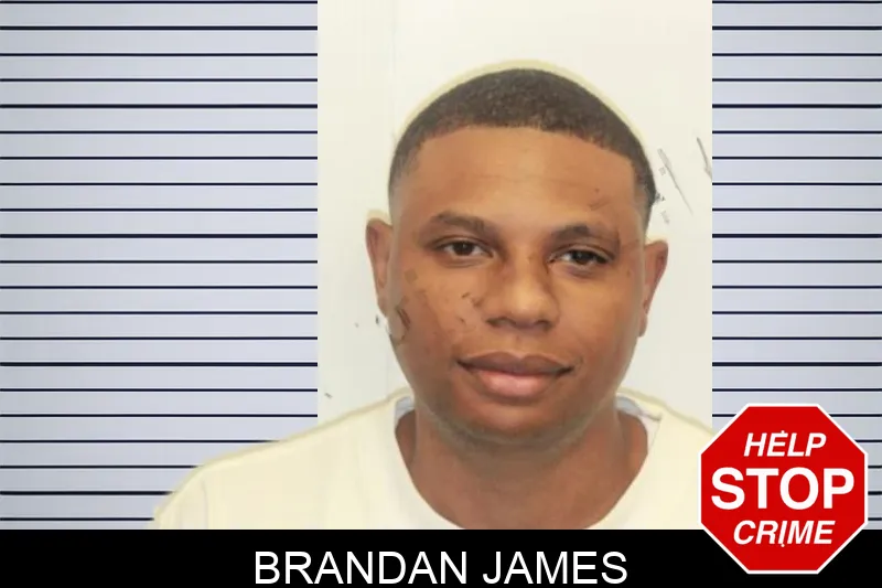 Brandan James mugshot