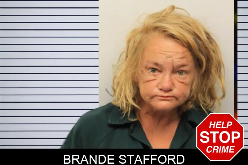 Brande Stafford mugshot