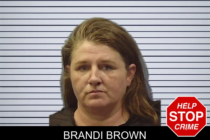 Brandi Brown mugshot