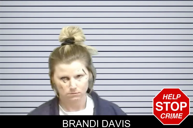Brandi Davis mugshot – Fulton County , Georgia Brandi Davis mugshot