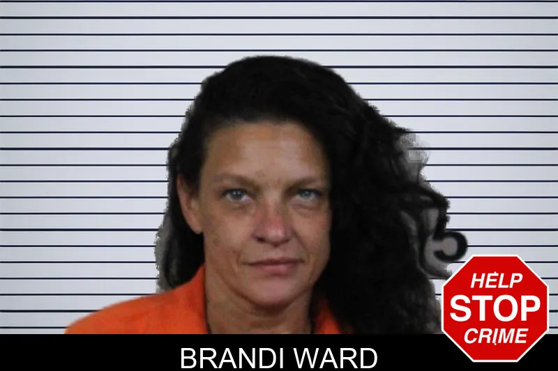 Brandi Ward mugshot