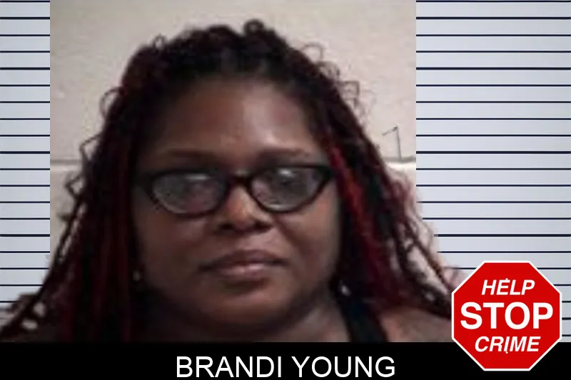 Brandi Young mugshot