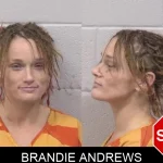 Brandie Andrews mugshot