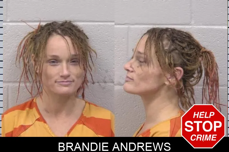 Brandie Andrews mugshot