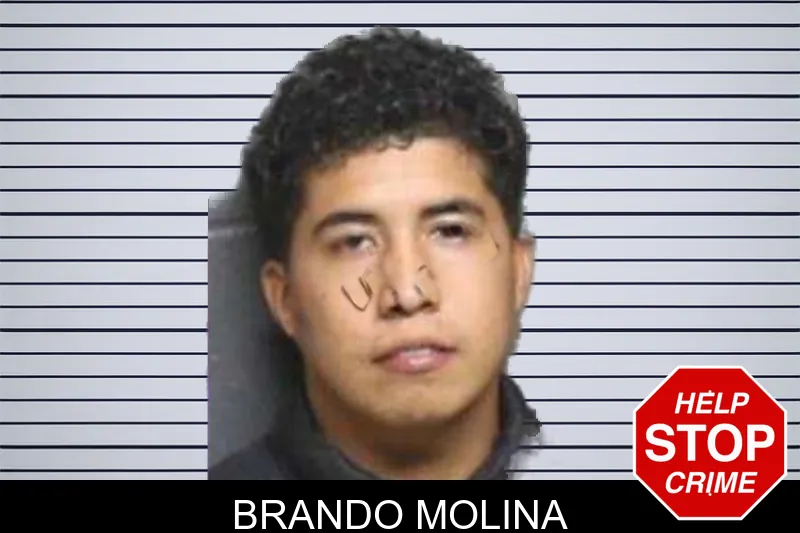 Brando Molina mugshot