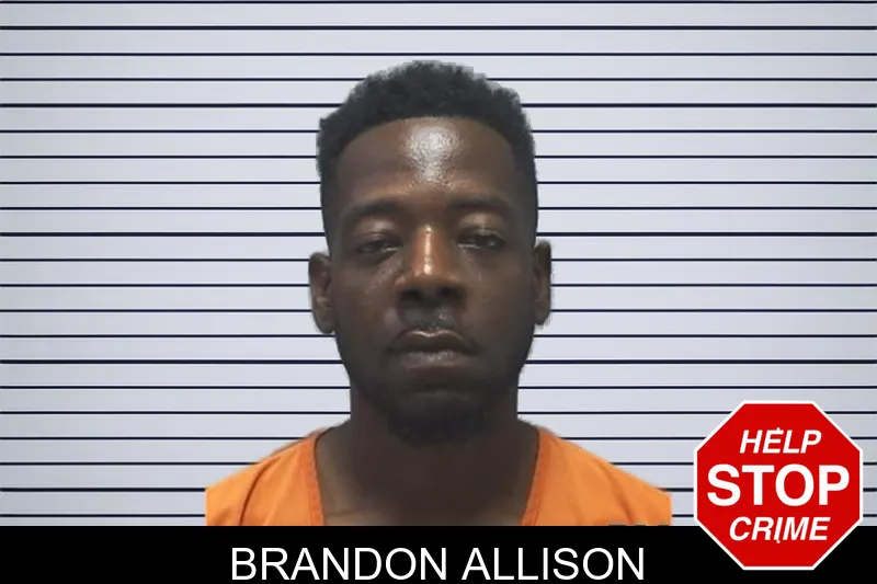 Brandon Allison mugshot – Cherokee County , Georgia Brandon Allison mugshot