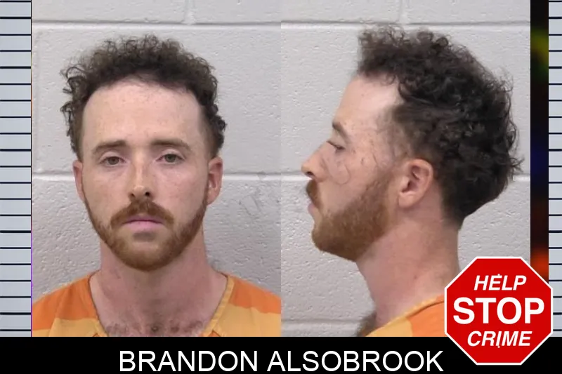 Brandon Alsobrook mugshot