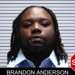 Brandon Anderson mugshot