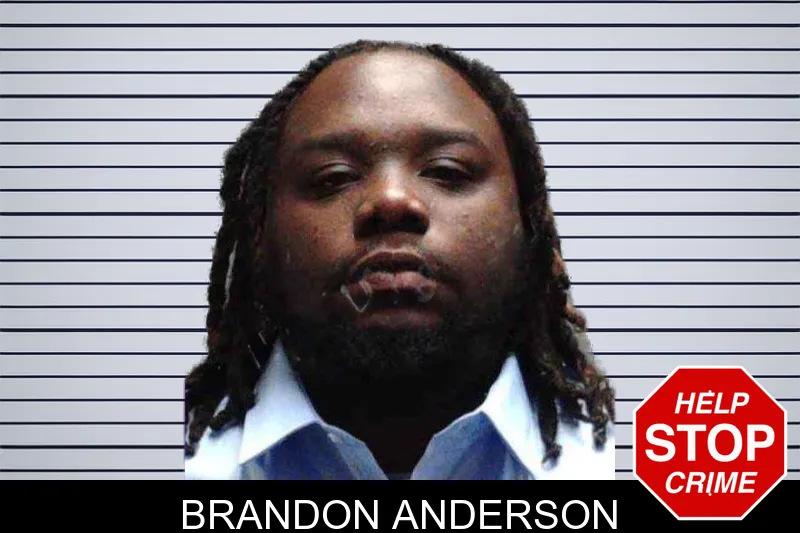 Brandon Anderson mugshot