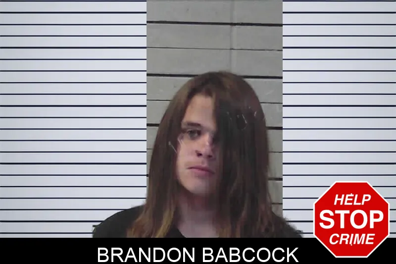 Brandon Babcock mugshot