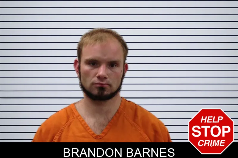 Brandon Barnes mugshot