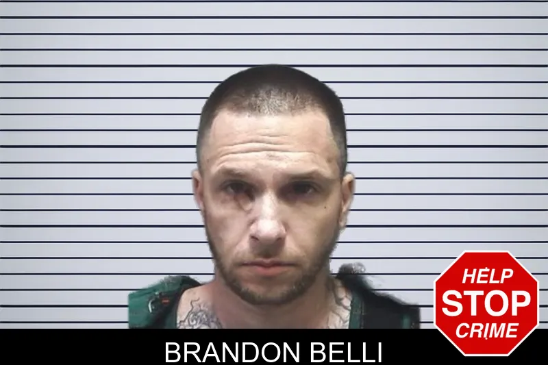 Brandon Belli mugshot