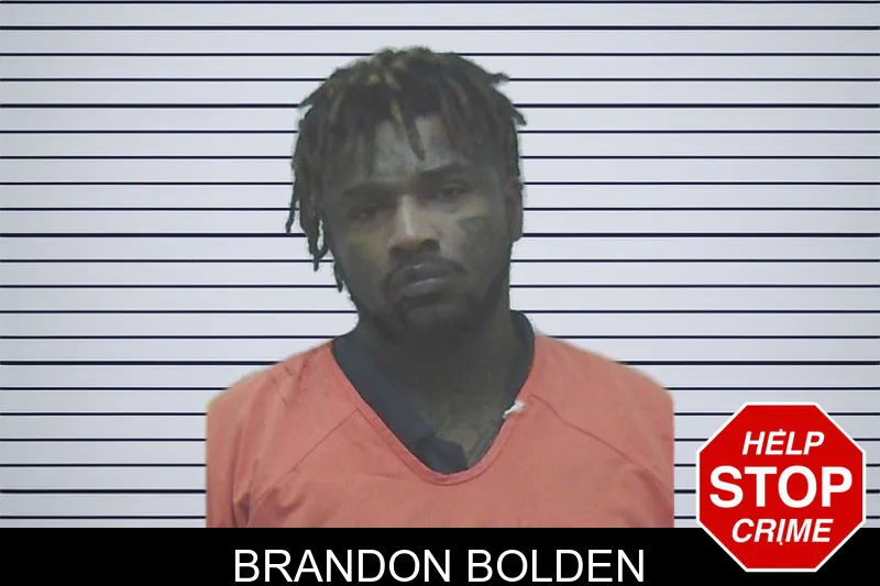 Brandon Bolden mugshot
