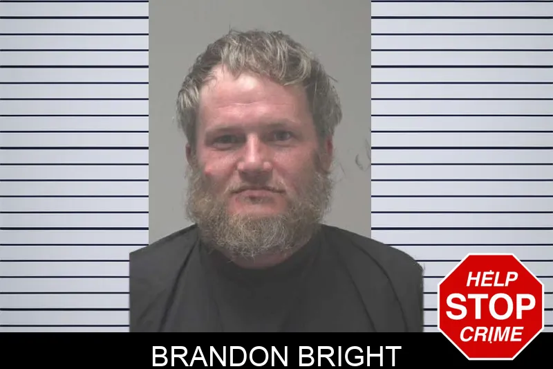 Brandon Bright mugshot