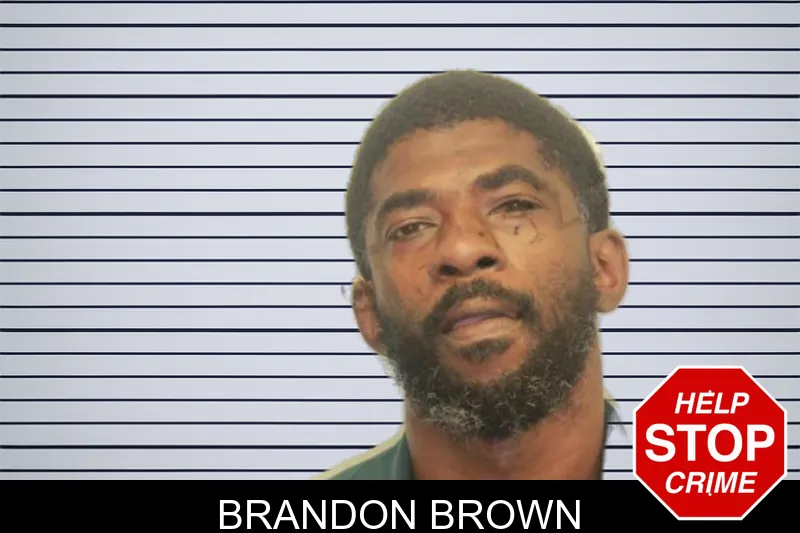 Brandon Brown mugshot