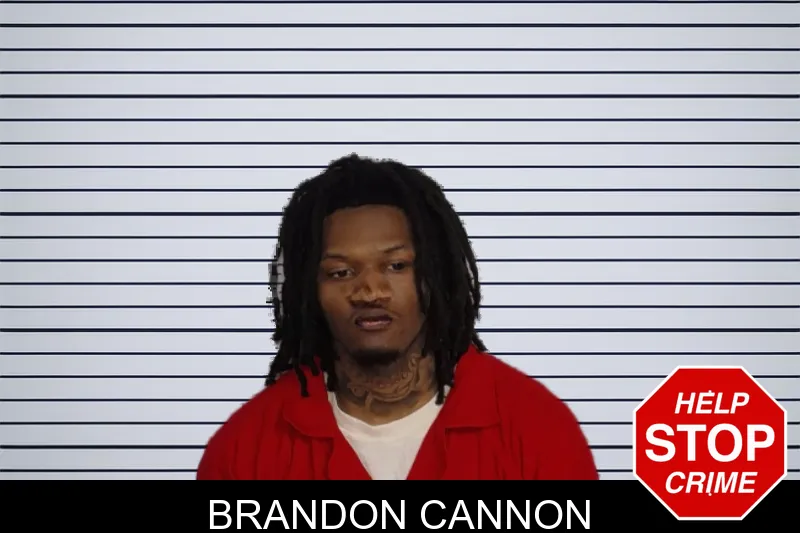 Brandon Cannon mugshot