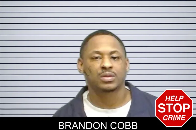 Brandon Cobb mugshot