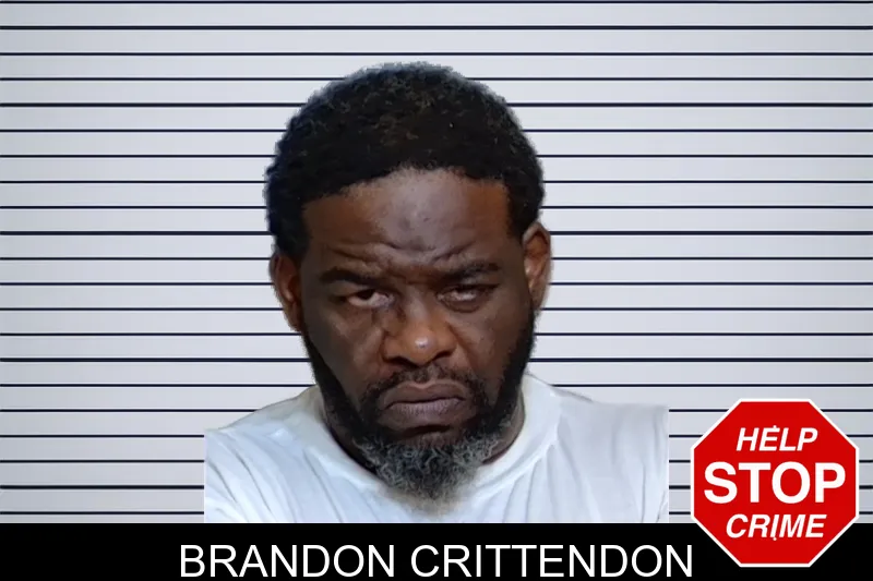 Brandon Crittendon mugshot – Glynn County , Georgia Brandon Crittendon mugshot