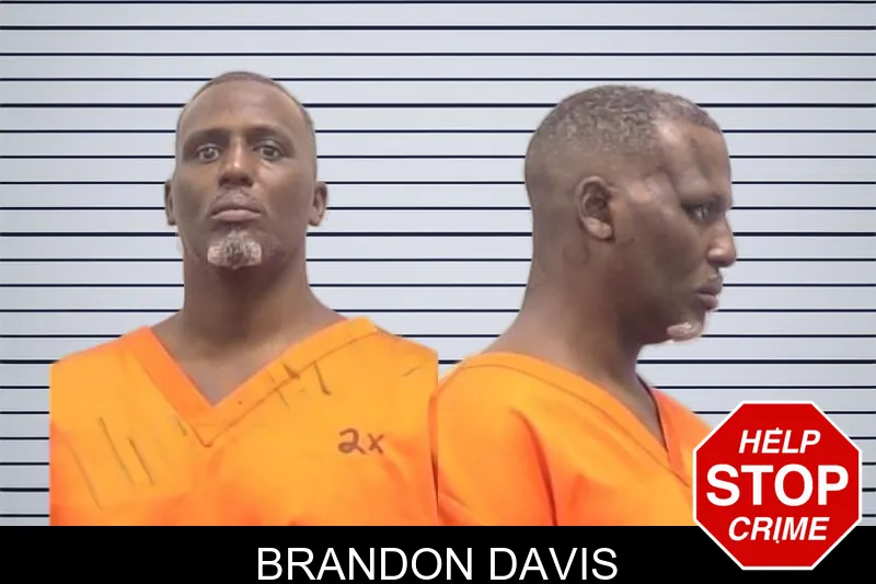 Brandon Davis mugshot