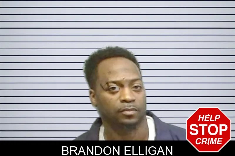 Brandon Elligan mugshot