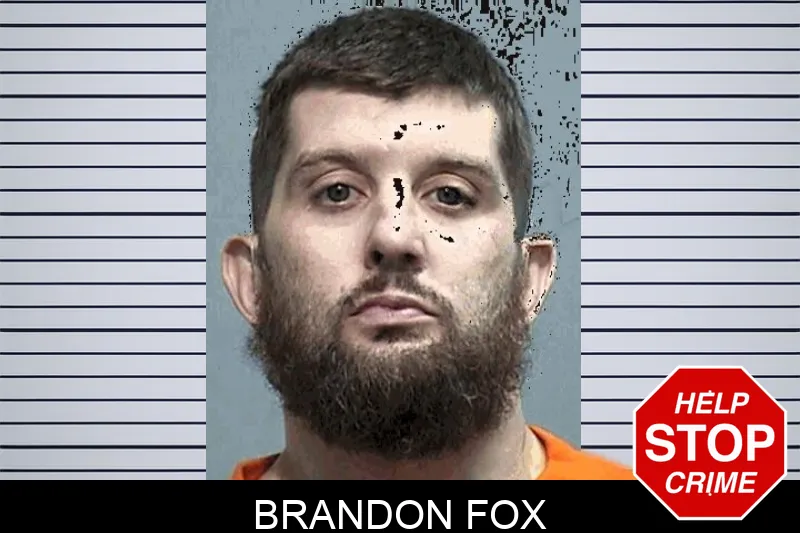Brandon Fox mugshot