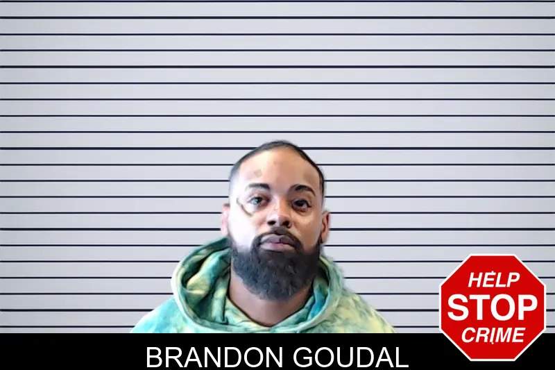 Brandon Goudal mugshot – DeKalb County , Georgia Brandon Goudal mugshot