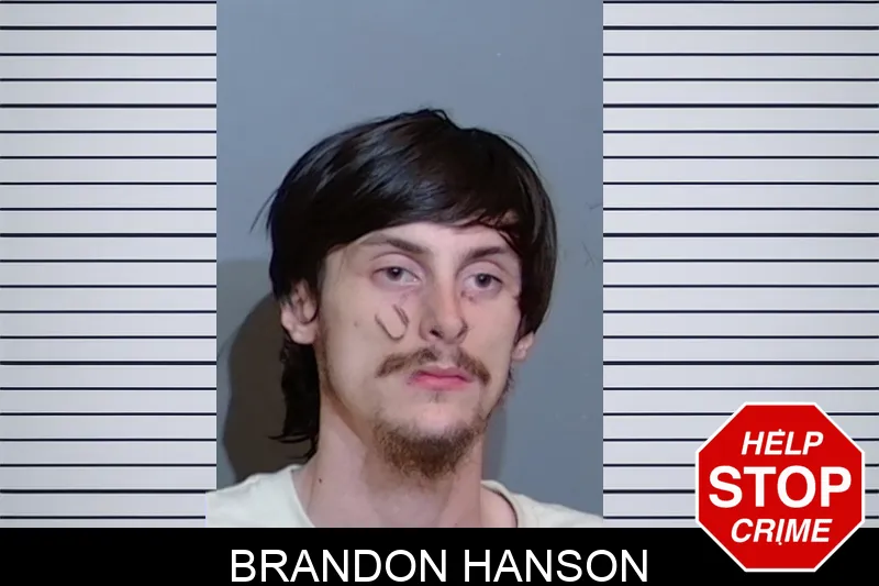Brandon Hanson mugshot