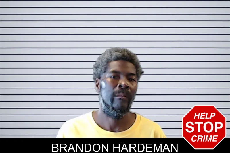 Brandon Hardeman mugshot – DeKalb County , Georgia Brandon Hardeman mugshot