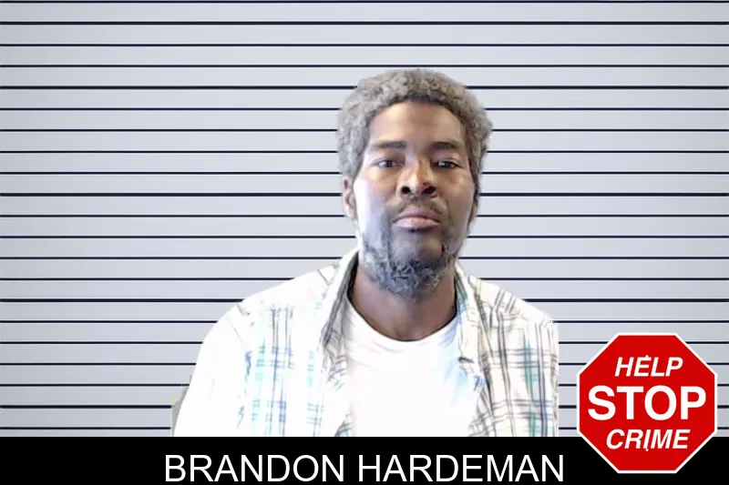 Brandon Hardeman mugshot