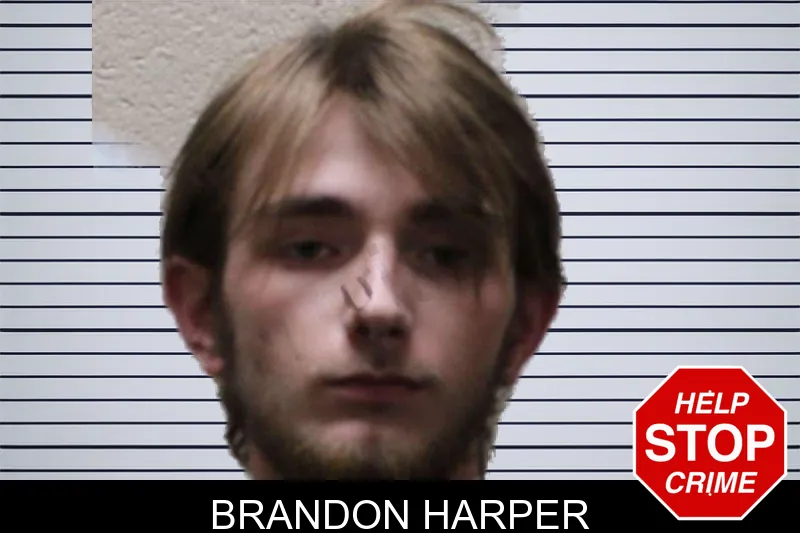 Brandon Harper mugshot